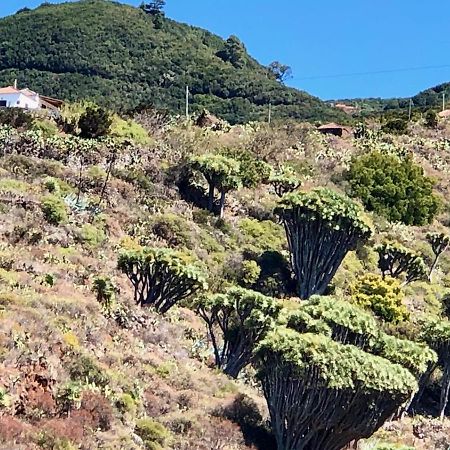 Casa Rural Los Barranquitos Garafía 외부 사진